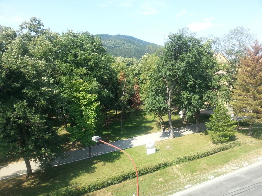 Park Srce Apartments Arandelovac Room photo
